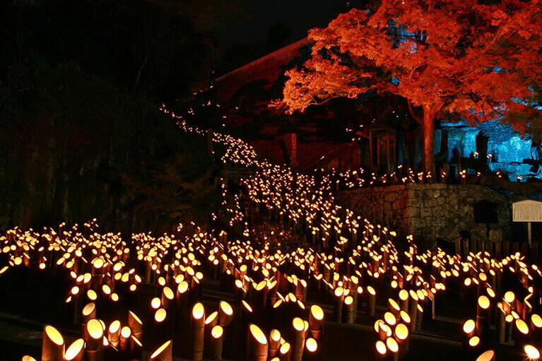【大分県】たけた竹灯籠 竹楽。