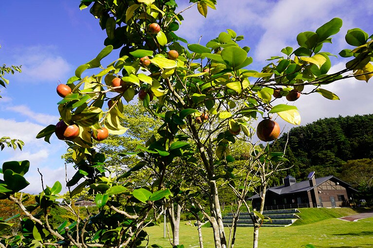 スノーピーク「陸前高田キャンプフィールド」