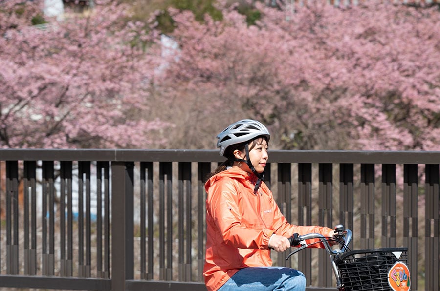 小田原は自然が多いので、自転車旅に最適。