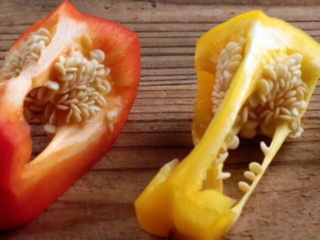 種が飛び散るイライラにさようなら ピーマンをストレスフリーで切る裏ワザ すぐに試したくなる クックパッドの簡単 時短裏ワザ動画