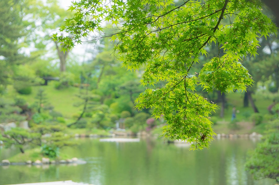 【広島県】縮景園。