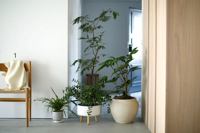 1：ブランケット H200×W130cm 22,000円／シルケボー(ザ･テイストメイカーズ アンド コー)