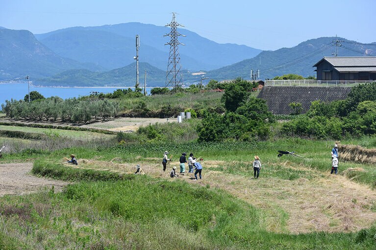 サイクリング中、農作業の様子も見かけました。