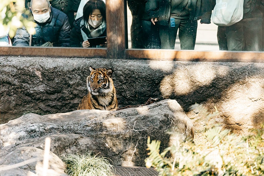 2023年4月に上野動物園で誕生したアサ。