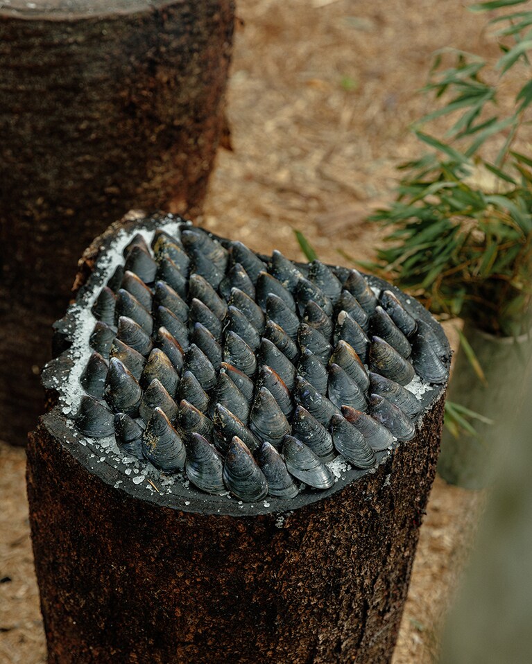 ムール貝を焼く。