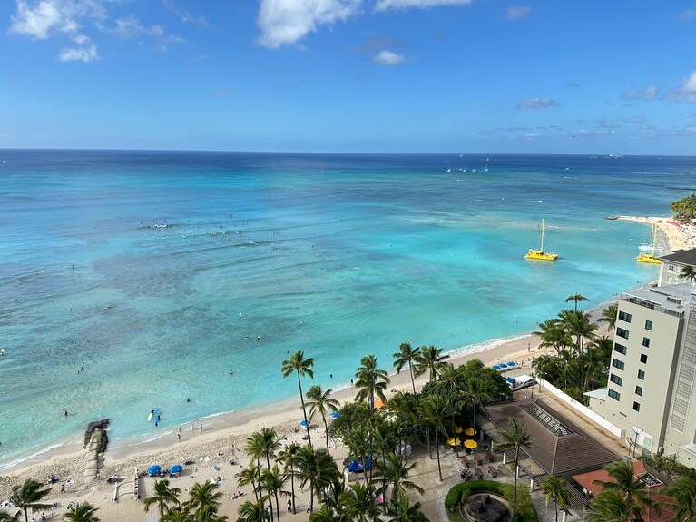 朝起きてこの景色って幸せすぎる。