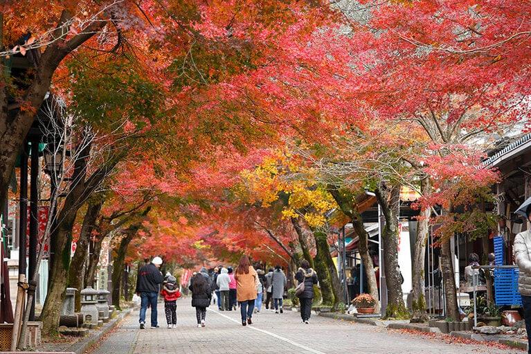 谷汲山華厳寺の紅葉。