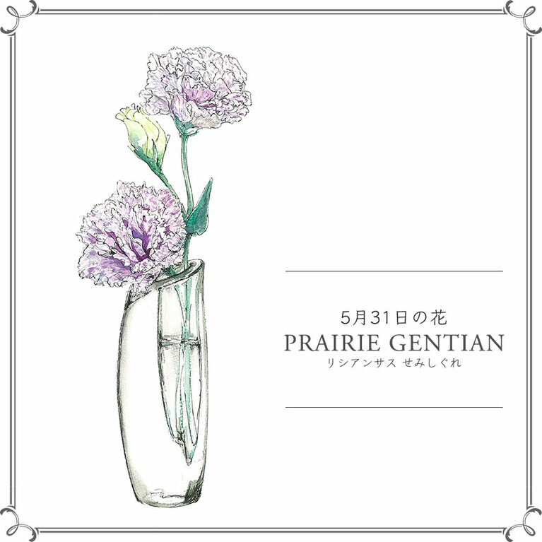 5月31日の花「リシアンサス せみしぐれ」