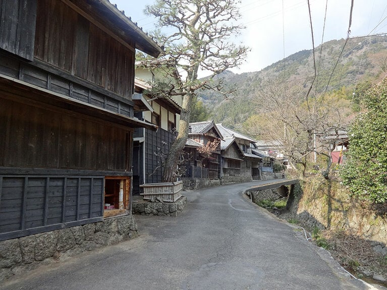 【静岡県】花沢の里。