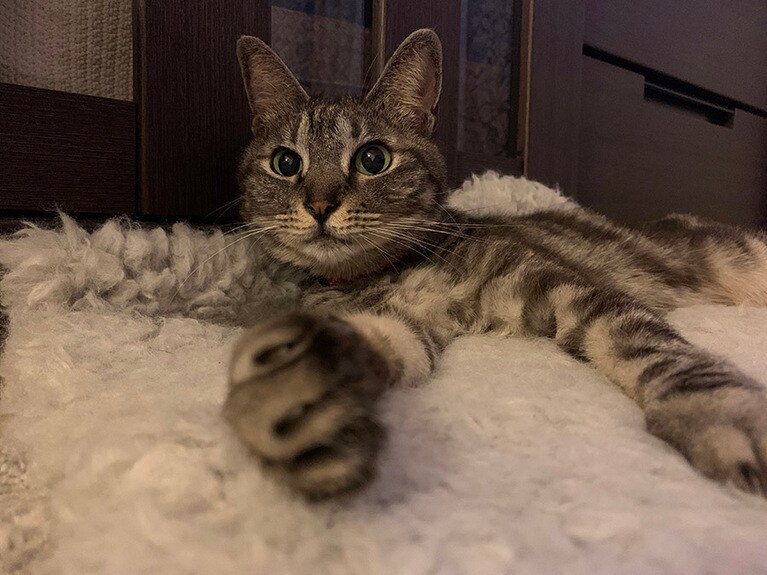 しめじ ♀ 7歳。かわいいグーパンチどうぞ❤️