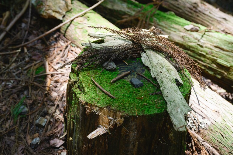 思わずにっこり。