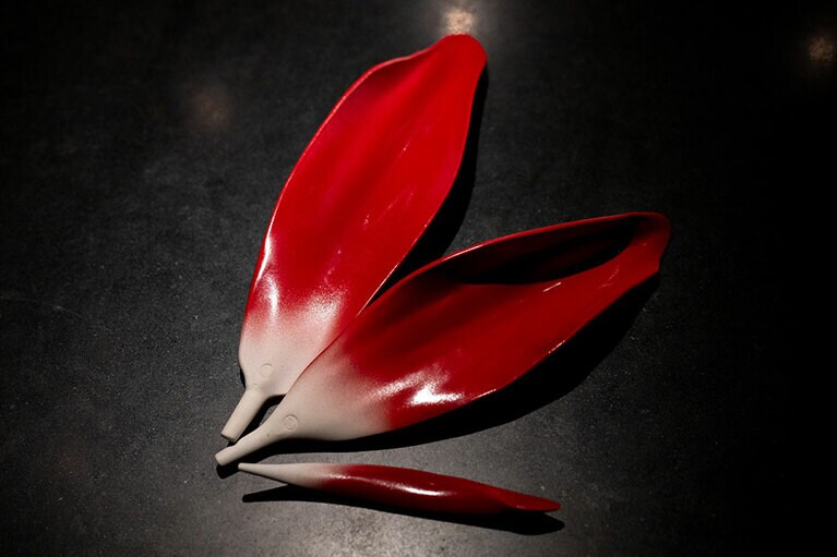 1枚1枚の花びら。