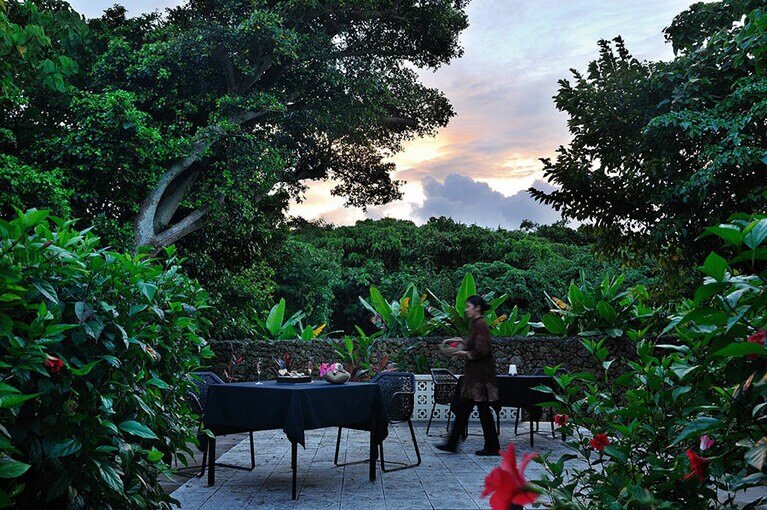 「島テロワール」ディナーコースをいただく前に、屋外でアペリティフを。