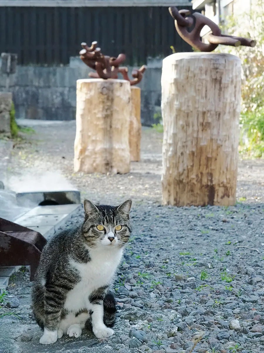 「今年も『芸術の秋』を満喫しているのニャ♪　スリスリしたら気持ちイイ！　台座が爪とぎに最高！　……ニャンダフル！ な作品なのニャ♪♪」