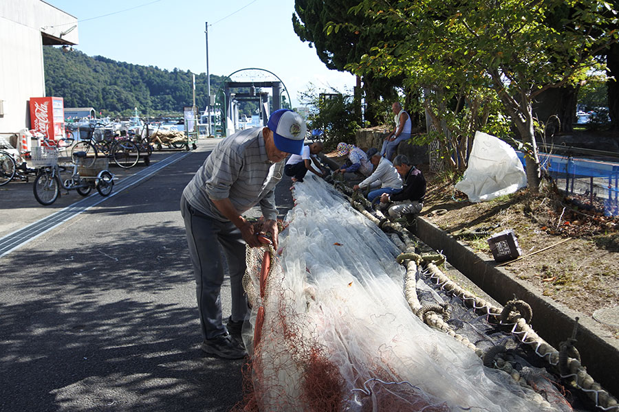 魚の旬は、産卵期によって変わります。琵琶湖には50種以上の固有種が生息しているとか。