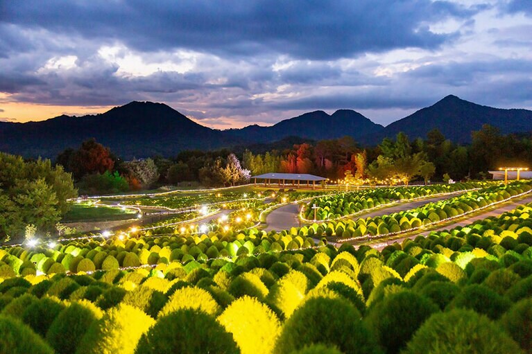【香川県】国営讃岐まんのう公園。
