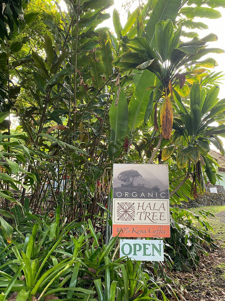 究極のコーヒー豆を追求する農園「Hala Tree Coffee」。