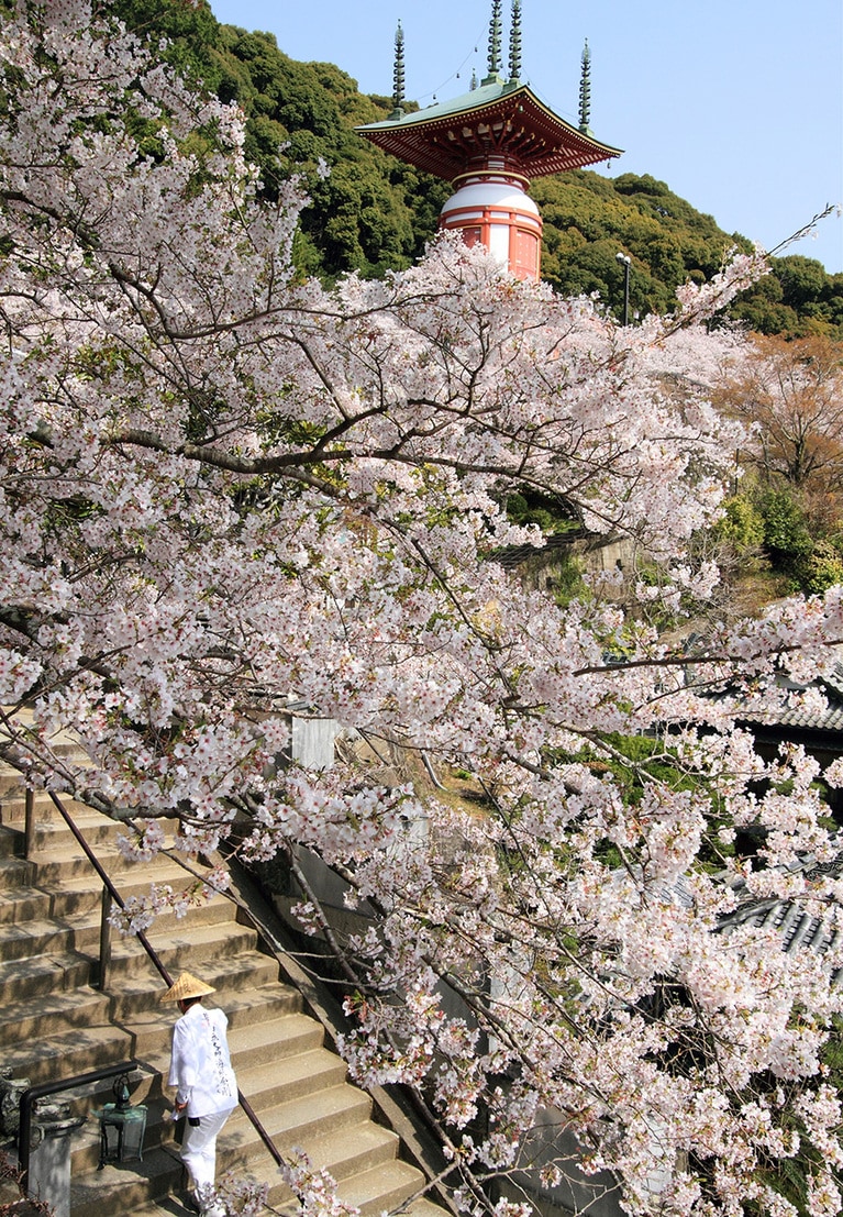 四国霊場めぐり。