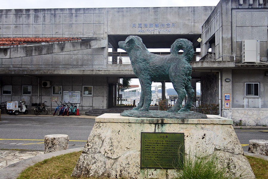 隣の島に暮らす恋人マリリンを思って“島渡り”を敢行した犬・シロの銅像。映画化もされました。