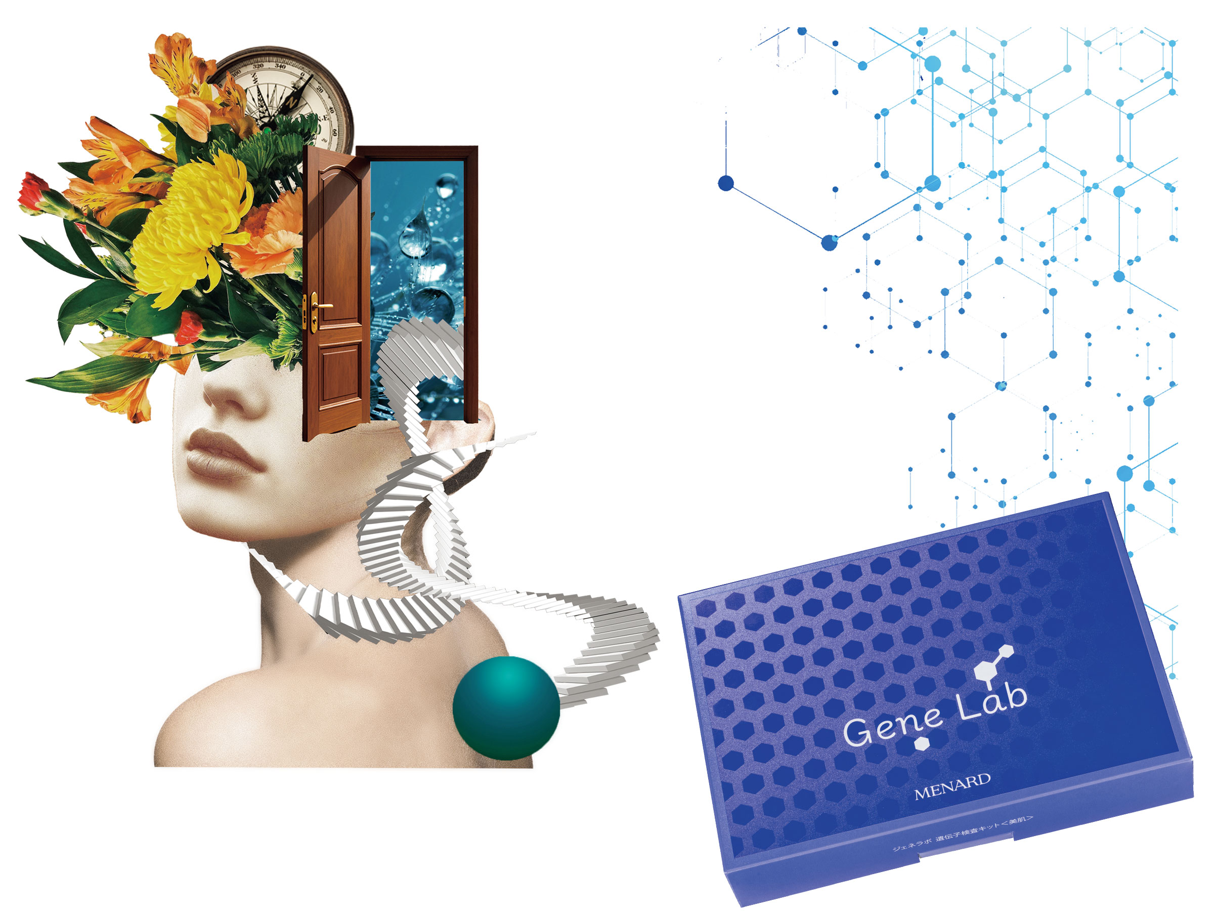 写真提供：アフロ、Paylessimages／イメージマート、GYRO_PHOTOGRAPHY／イメージマート、SB／イメージマート