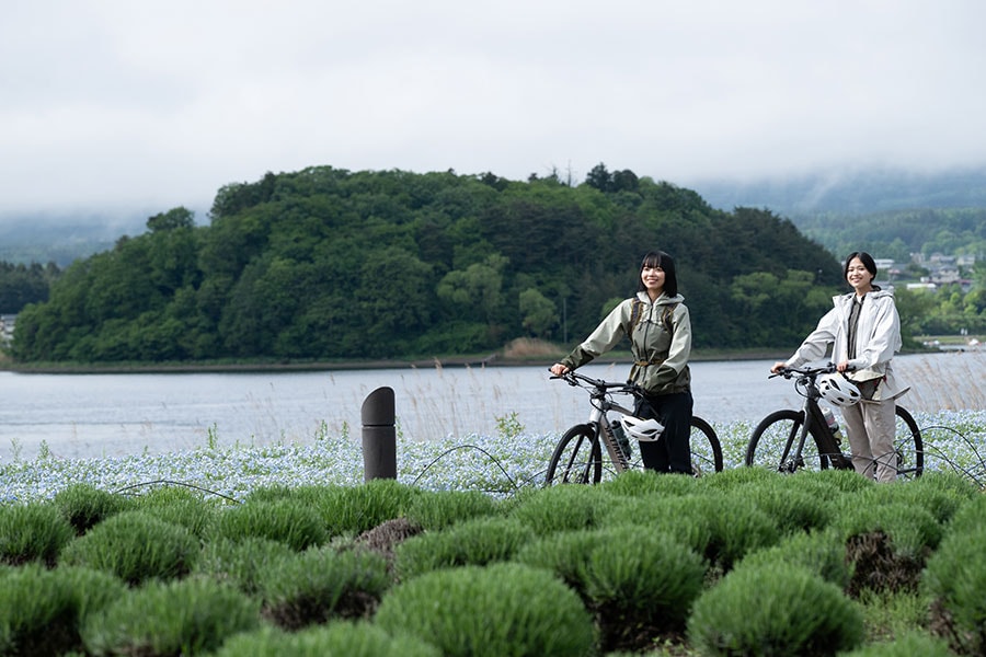 河口湖の周りは緑や花も豊かで見飽きない。