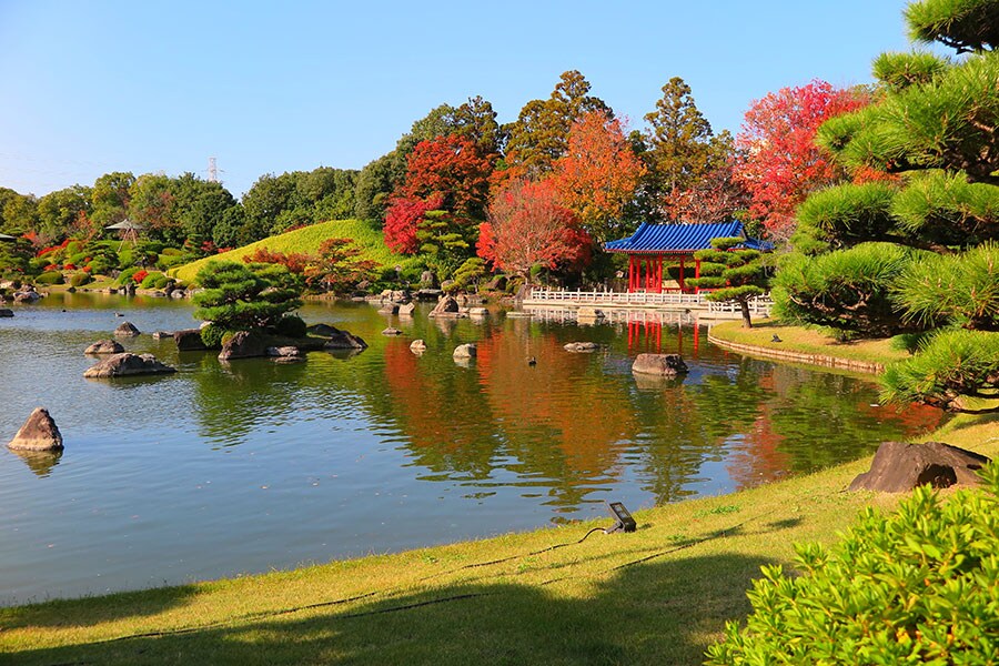 大仙公園 日本庭園。