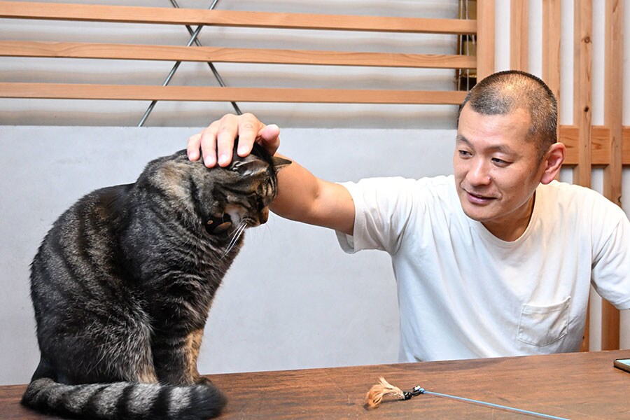 所属事務所「デューズ」のオフィスにいる保護猫のあおちゃん。