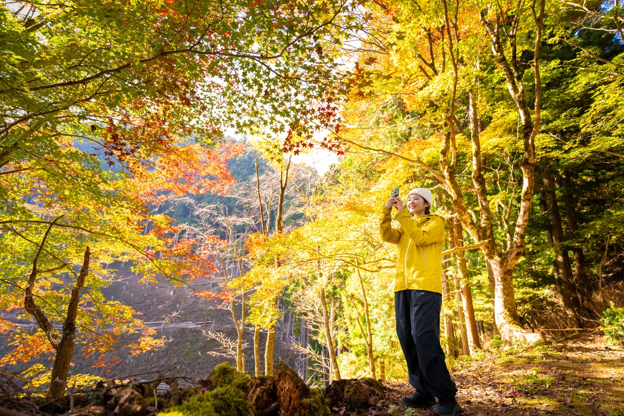 訪れたのは晩秋の某日。赤黄に染まる紅葉の爽やかな葉擦れの音に癒やされる。