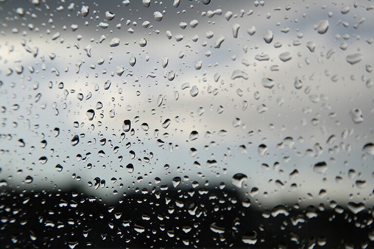 撮影：中村佑子