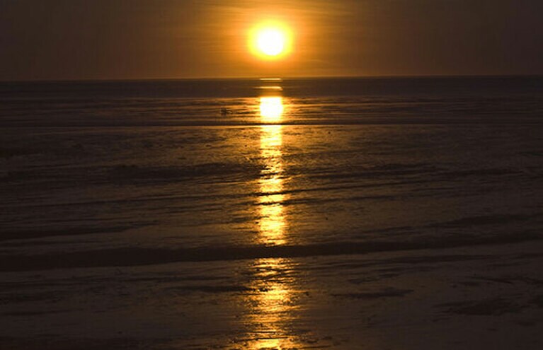 3月～10月の満月前後の3日間、干潮時に見られる自然現象は運がよければ見られる。