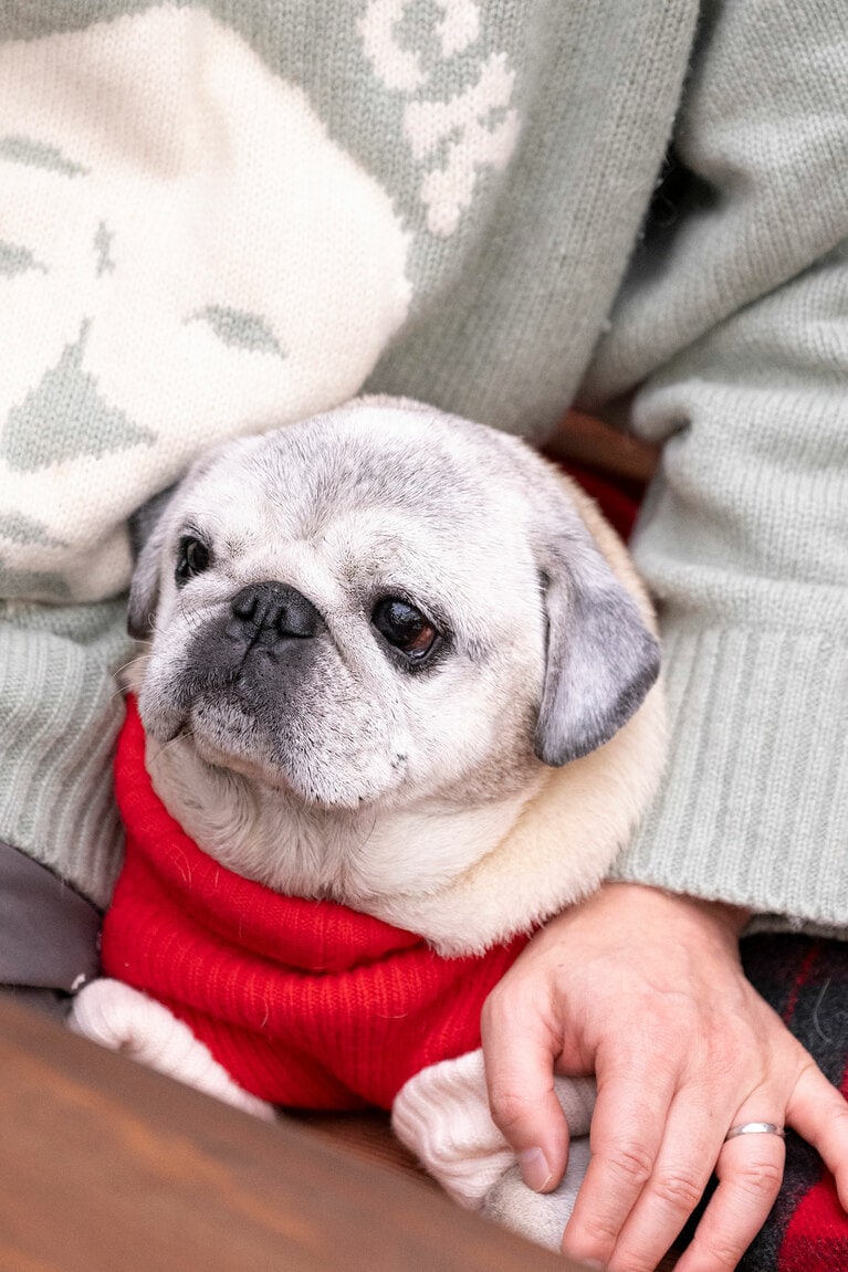 アザーカット。