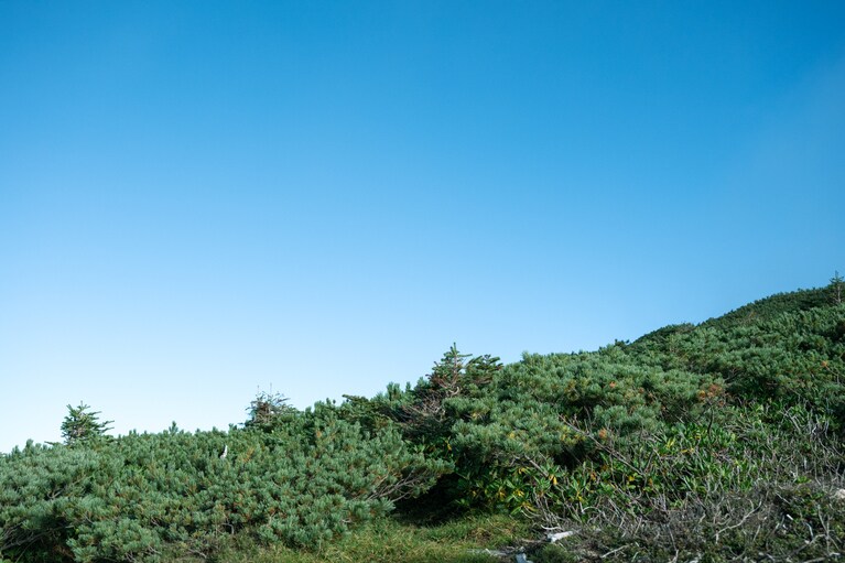 長野県・硫黄岳の旅＜硫黄岳のピークへ＞