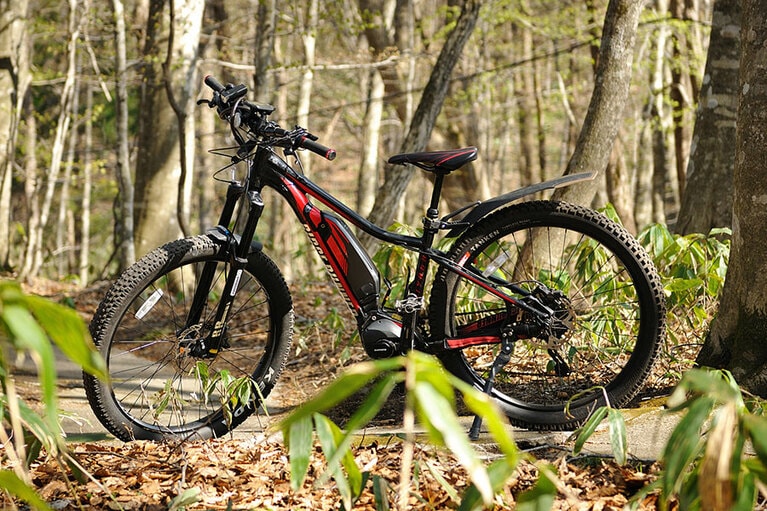 電動アシスト付きマウンテンバイクを借りて渓流を散策。