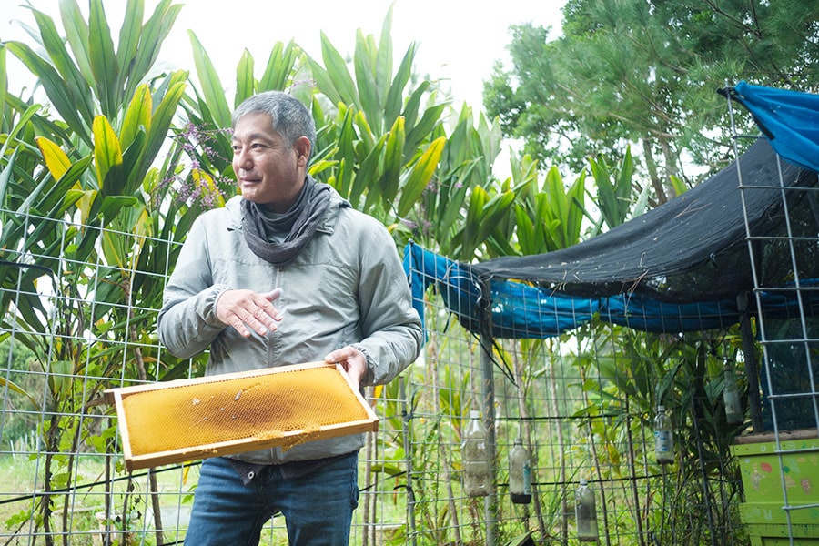 養蜂の指導を行う池宮さん。