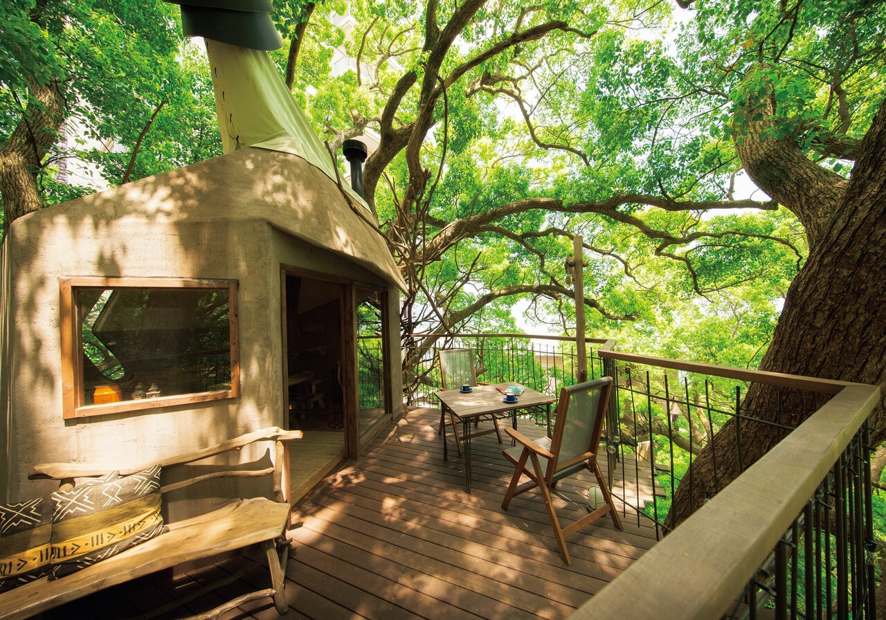 敷地内の森には、樹齢300年超のクスノキの上に建てられた、地上15メートル・国内最大級のツリーハウスがある。