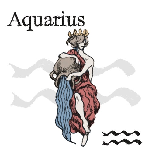 岡本翔子の星占い 【水瓶座】3月の運勢「分別を持ってゆっくりとだ。駆け出すものは…」