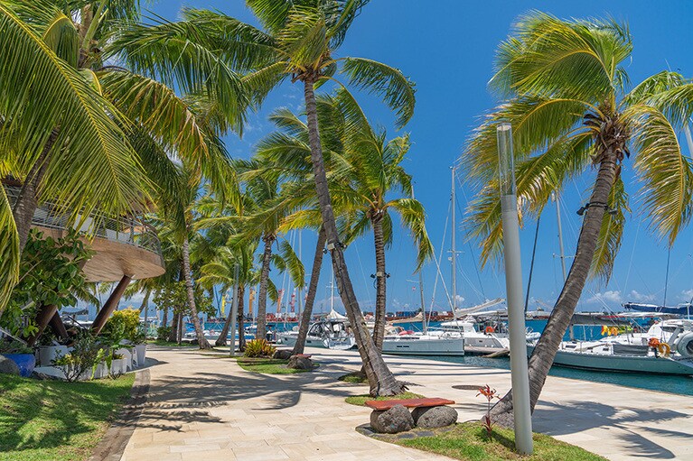 心地よい海風と青空が旅人たちを祝福するタヒチ・パペーテ市内。