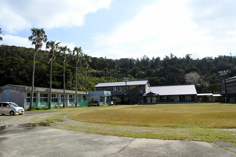 屋久島町立金岳小・中学校のワシントンヤシの木も観察スポット。