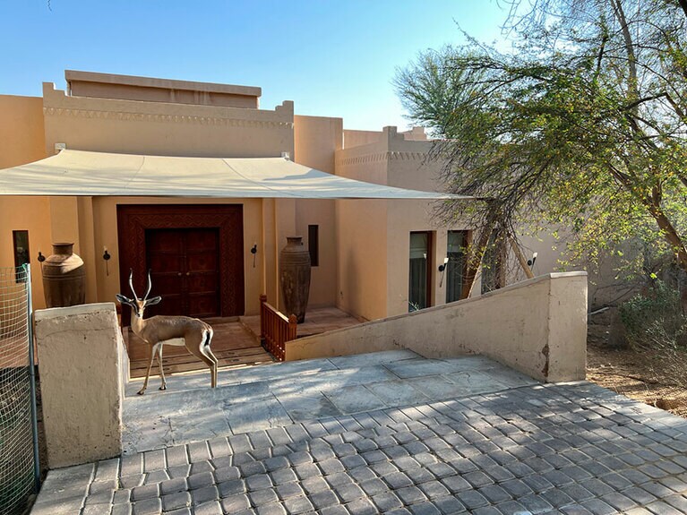 「タイムレス・スパ」の入り口にもガゼルがいた。