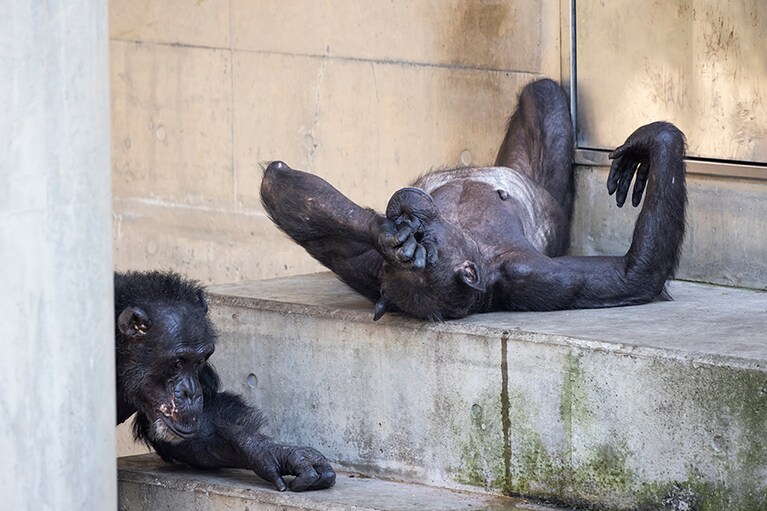 たしかにやり切れない暑さです。