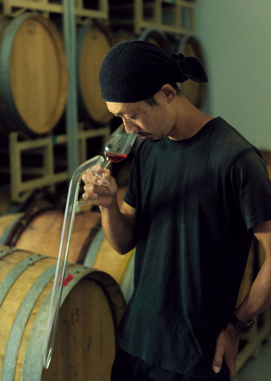 樽で熟成させているワインを確認する栽培醸造責任者の桒原一斗さん。