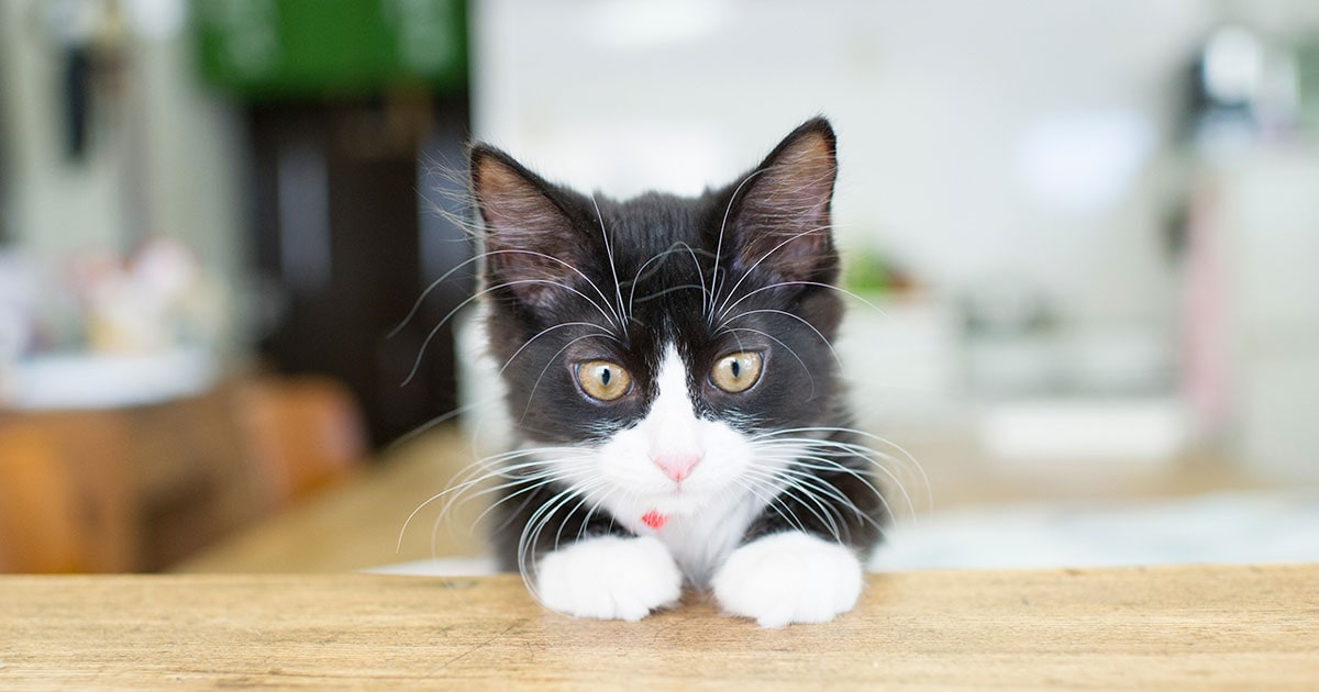 Yuka Seki / 関由香インタビュー