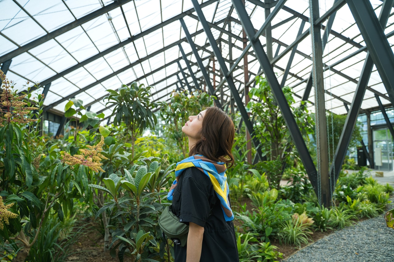 広大な敷地は、「温室」「外庭」「公園と畑」の3エリアで構成。温室ではアジアの観葉植物、外庭では季節の植物が並ぶ。