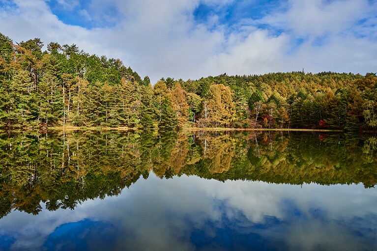 風がないと鏡面のようになる水面に紅葉が映る。