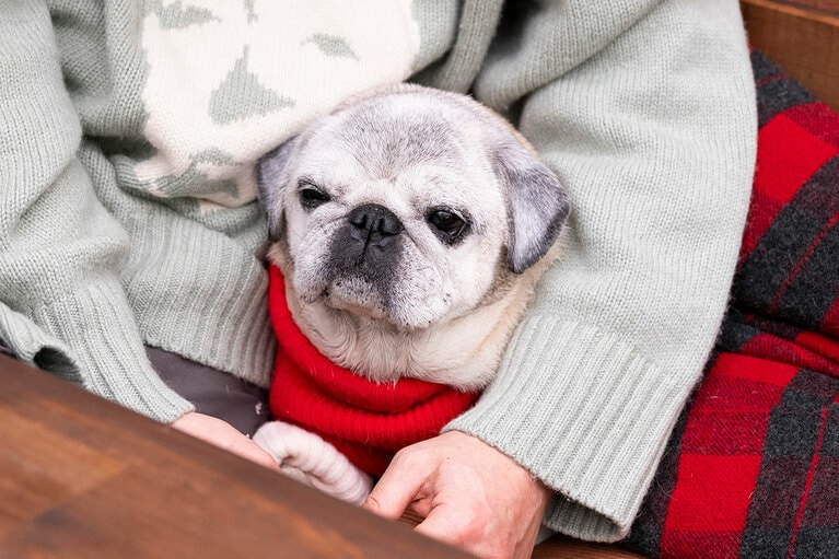 アザーカット。