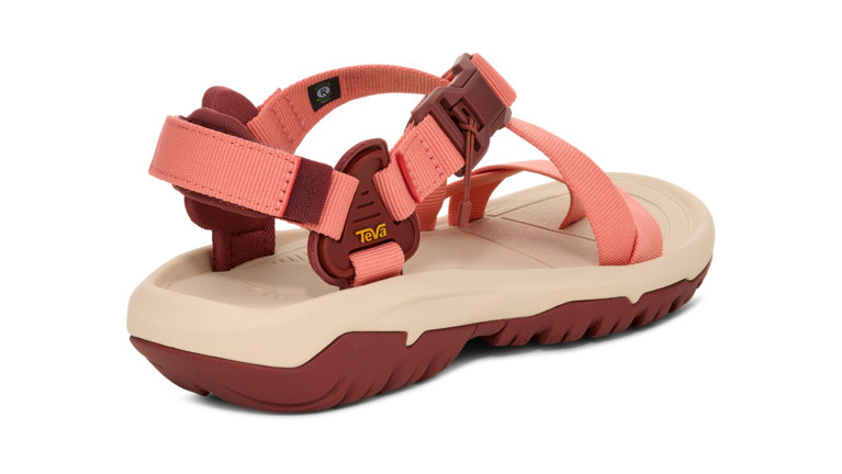 「Hurricane Terra Dactyl」