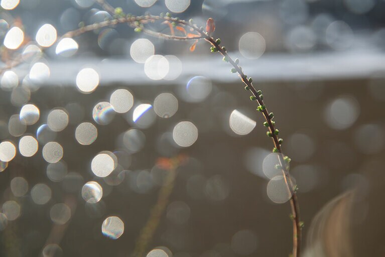 「彼女たちとのおぼつかない、はかない連帯を、薄氷のような連帯と名づけたのだった」　撮影：中村佑子