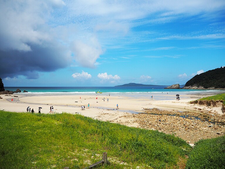 高浜海水浴場に降り立ったところ。約800メートルの砂浜に、遠浅の海が広がります。写っている人の小ささから、このスケール感が伝わるでしょうか。