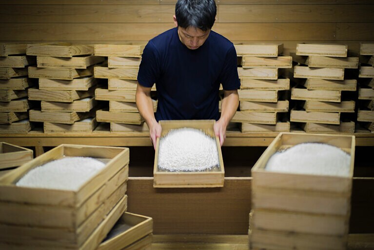 中村酒造場の杜氏、中村慎弥氏。すべての工程において一切機械を使わないという、こだわりの焼酎づくりを学ぶ。