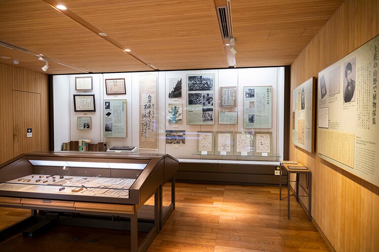 記念館には、精巧に描かれた植物図やアート作品のような美しい標本が展示されています。